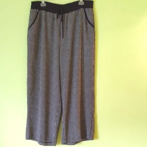 MAX STUDIO XL PANTS NWT